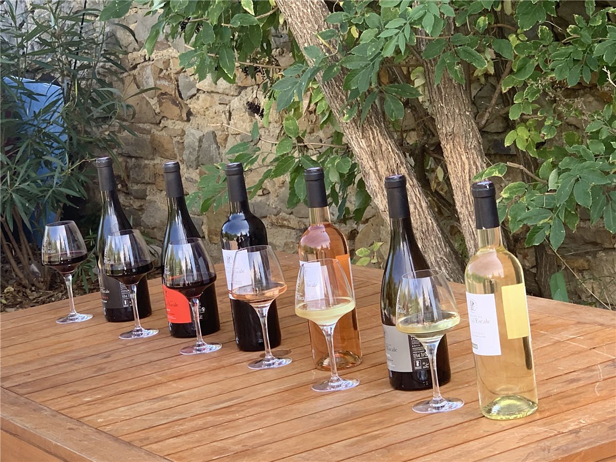 2019年8月31日爱醇采购部带大家参观法国南部爱斯卡特酒庄