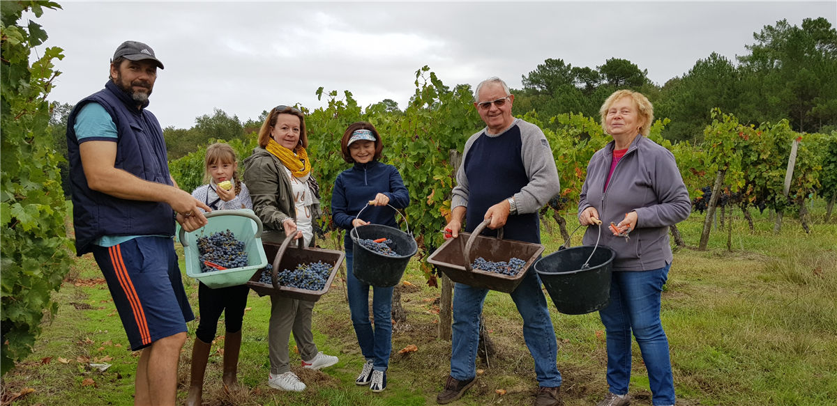 2019年10月又到了波尔多葡萄成熟季节了